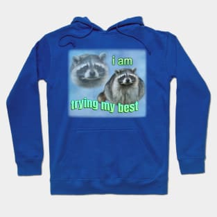 I'm trying my best raccoon meme Hoodie